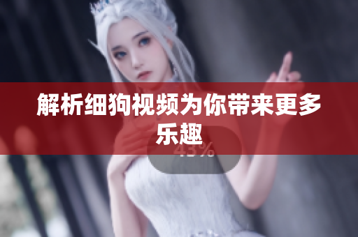 解析细狗视频为你带来更多乐趣