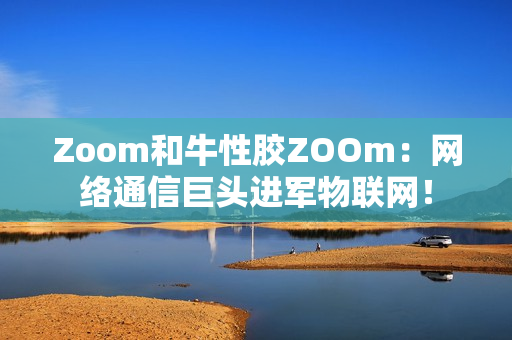 Zoom和牛性胶ZOOm：网络通信巨头进军物联网！