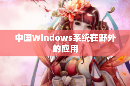 中国Windows系统在野外的应用