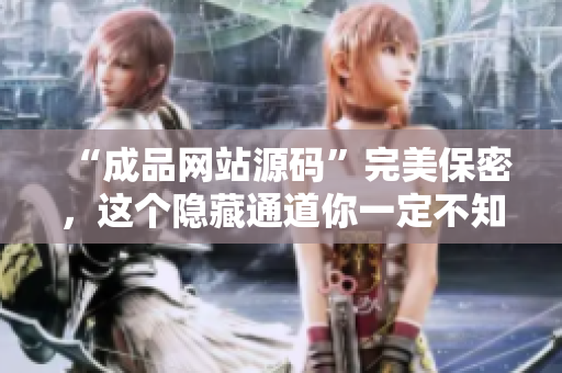 “成品网站源码”完美保密，这个隐藏通道你一定不知道！