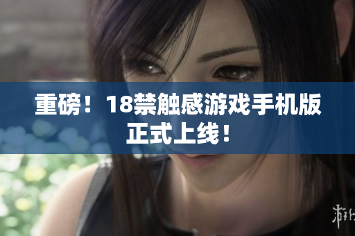 重磅！18禁触感游戏手机版正式上线！