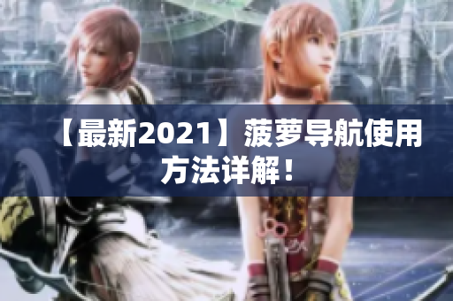 【最新2021】菠萝导航使用方法详解！