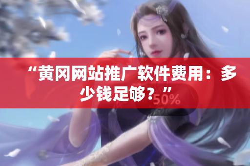 “黄冈网站推广软件费用：多少钱足够？”