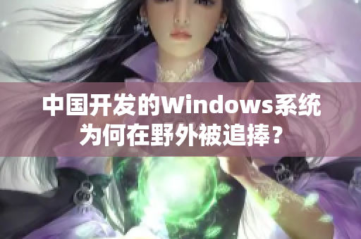 中国开发的Windows系统为何在野外被追捧？