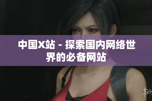 中国X站 - 探索国内网络世界的必备网站