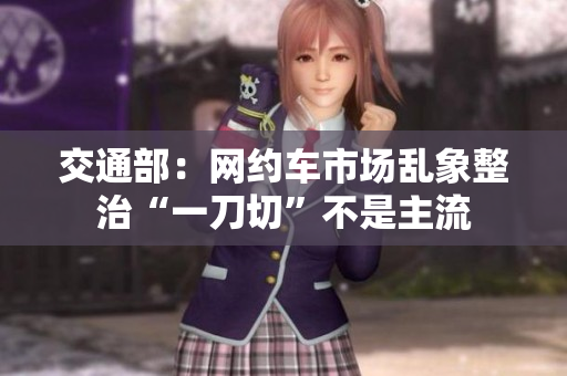 交通部：网约车市场乱象整治“一刀切”不是主流