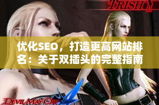 优化SEO，打造更高网站排名：关于双插头的完整指南