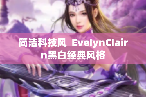 简洁科技风  EveIynCIairn黑白经典风格