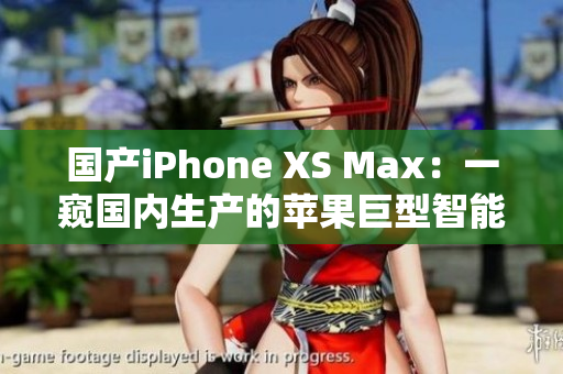 国产iPhone XS Max：一窥国内生产的苹果巨型智能手机