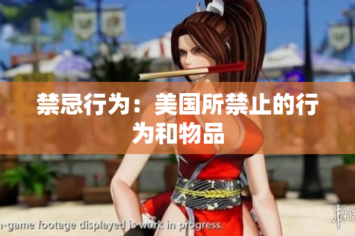 禁忌行为：美国所禁止的行为和物品