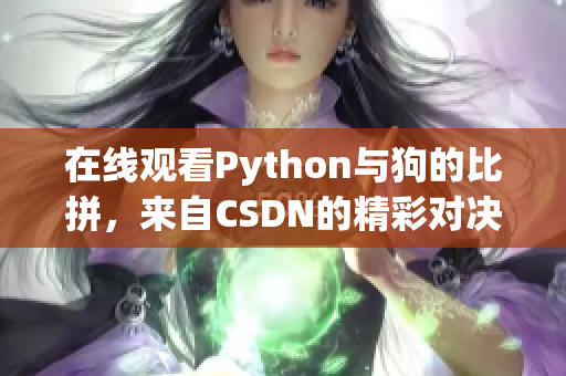 在线观看Python与狗的比拼，来自CSDN的精彩对决