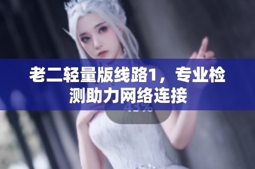 老二轻量版线路1，专业检测助力网络连接