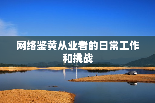 网络鉴黄从业者的日常工作和挑战