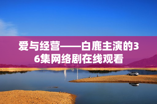 爱与经营——白鹿主演的36集网络剧在线观看