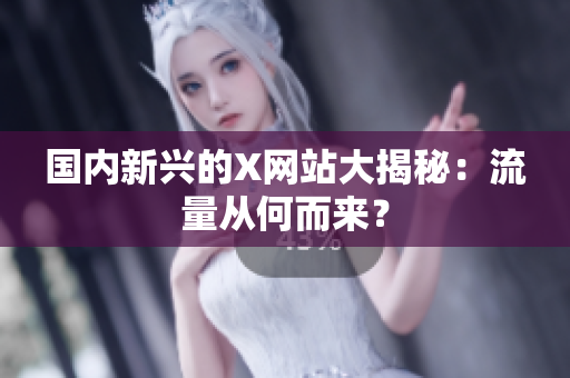 国内新兴的X网站大揭秘：流量从何而来？