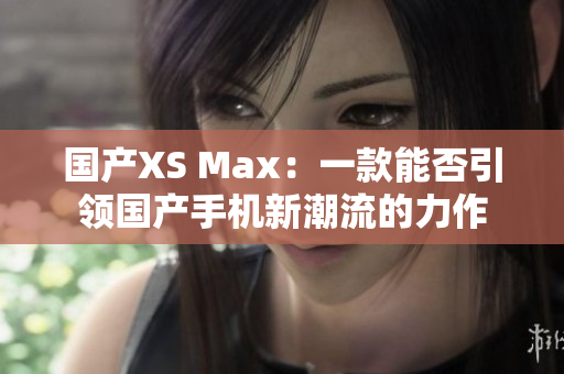 国产XS Max：一款能否引领国产手机新潮流的力作
