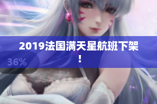 2019法国满天星航班下架！