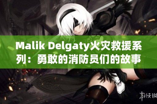 Malik Delgaty火灾救援系列：勇敢的消防员们的故事