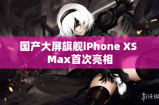 国产大屏旗舰iPhone XS Max首次亮相
